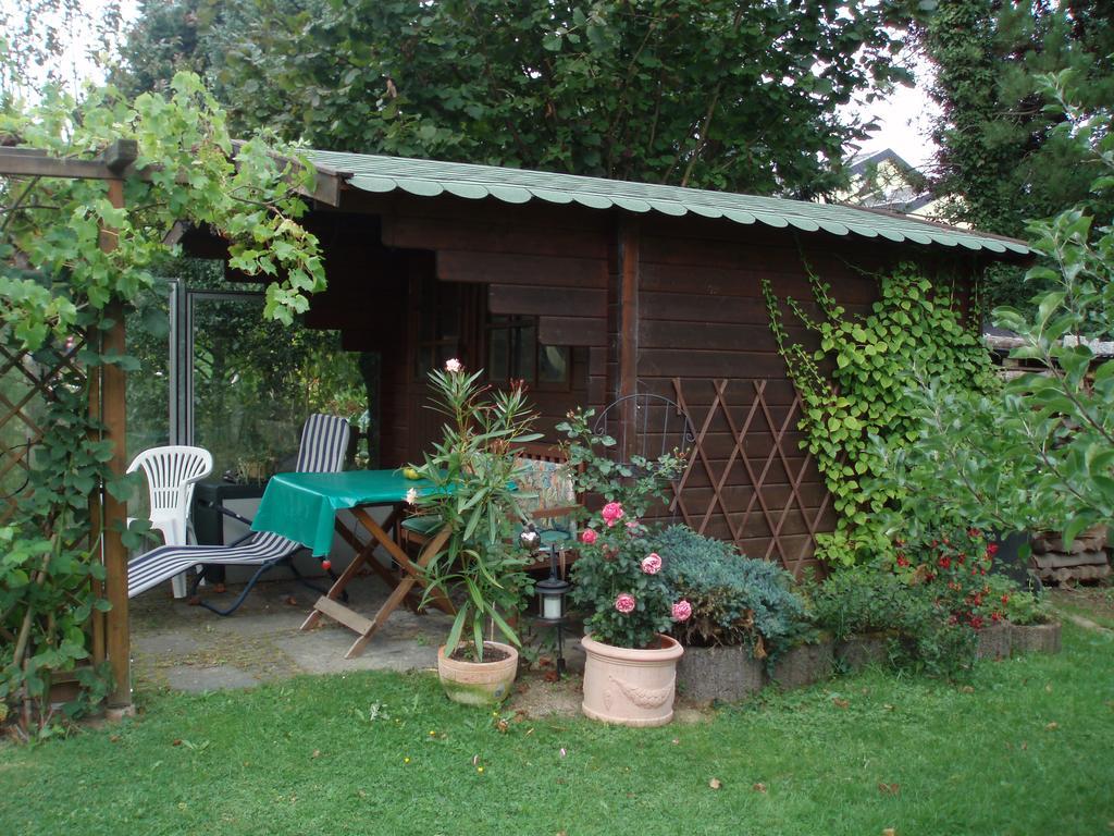 Ferienwohnung Anna Scheid Kelberg Dış mekan fotoğraf